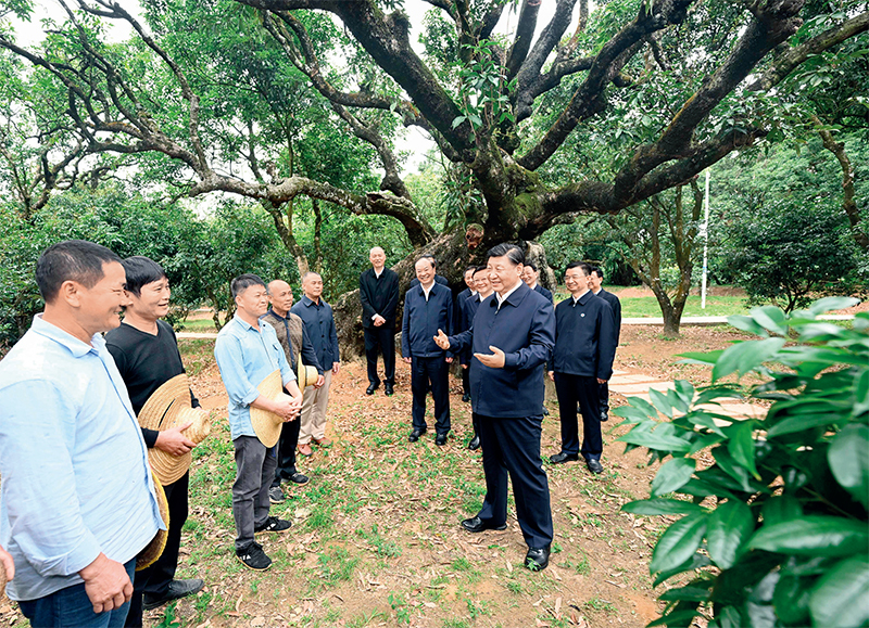 2023年4月10日至13日，中共中央總書(shū)記、國(guó)家主席、中央軍委主席習(xí)近平在廣東考察。這是11日下午，習(xí)近平在茂名高州市根子鎮(zhèn)柏橋村荔枝種植園，同現(xiàn)場(chǎng)技術(shù)人員親切交流。