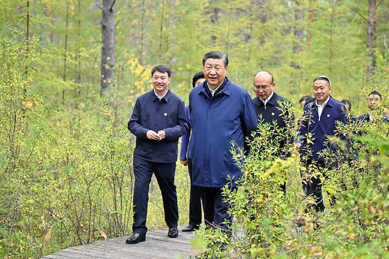 9月6日至8日，中共中央總書記、國家主席、中央軍委主席習(xí)近平在黑龍江考察。這是6日下午，習(xí)近平在大興安嶺地區(qū)漠河市漠河林場自然林區(qū)考察